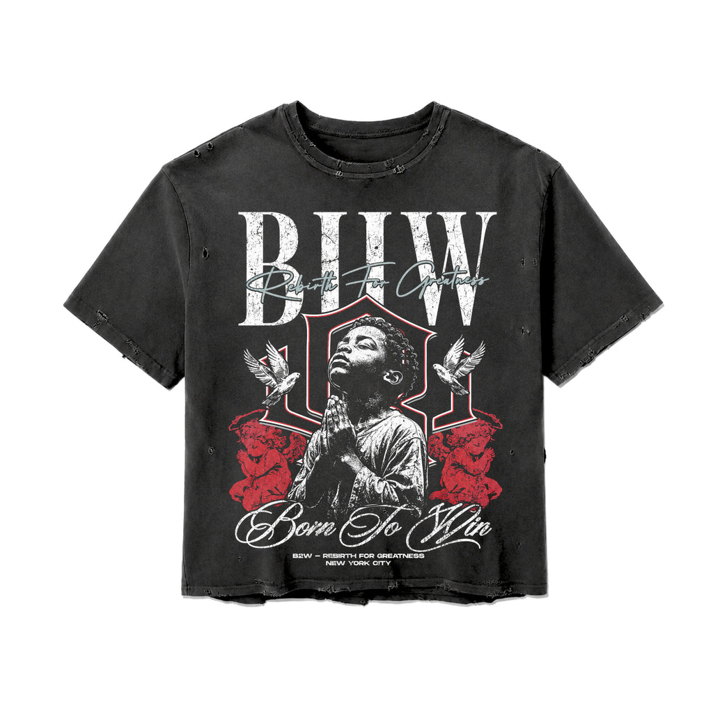 'REBIRTH GREATNESS' VNTG DISTRESSED S/S TEE GRYxRED