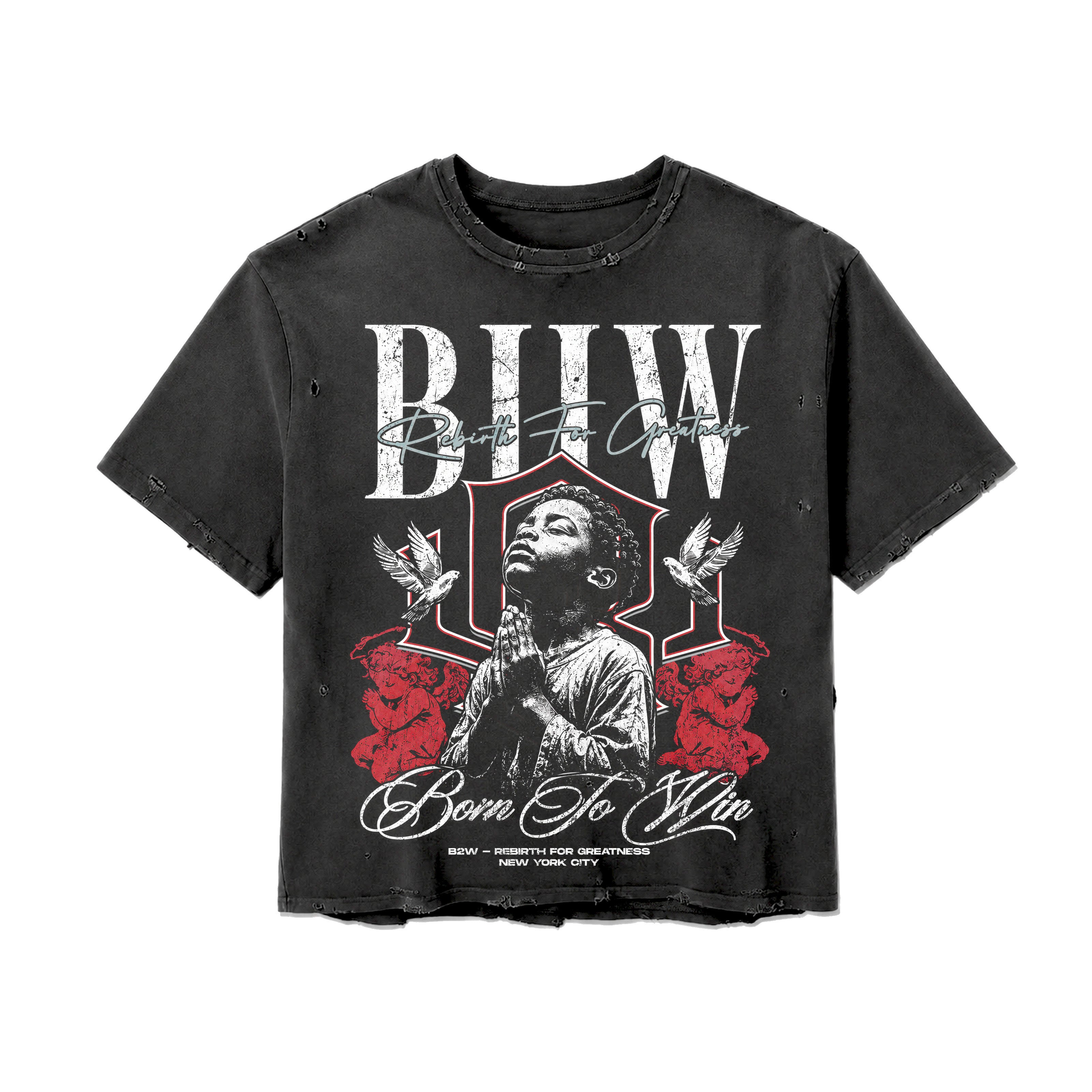 'REBIRTH GREATNESS' VNTG DISTRESSED S/S TEE GRYxRED